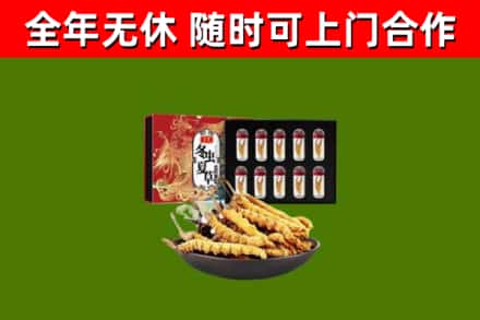 市中回收冬虫夏草价格
